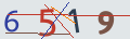 verifycode